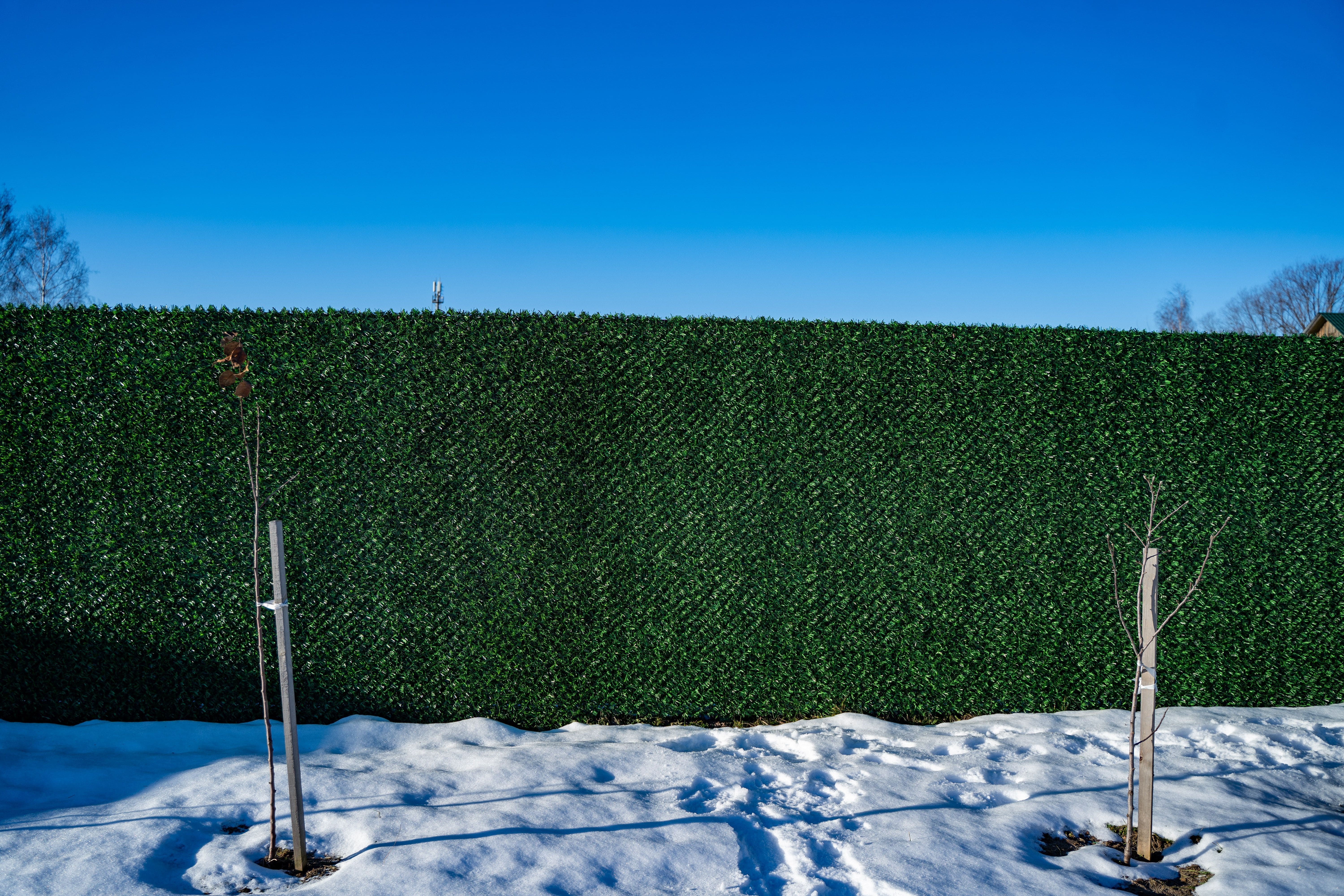 Вечнозеленый забор Grass Fence рулон 2м фото 8 в Махачкале