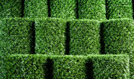 Нужен бесплатный расчет забора Grass Fence из искусственной травы в Махачкале?